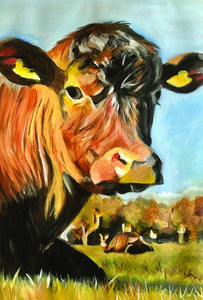 Print (11x14) AB Red Poll Cow